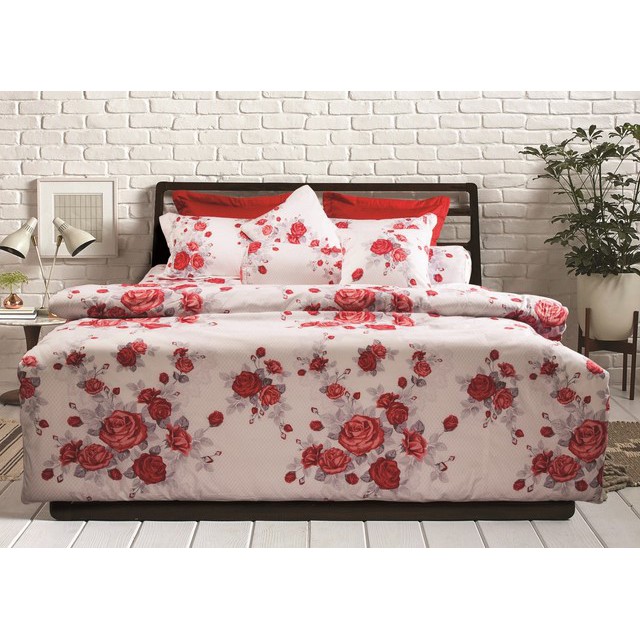 Bộ Drap Mền Everon Cotton MoDal 1834