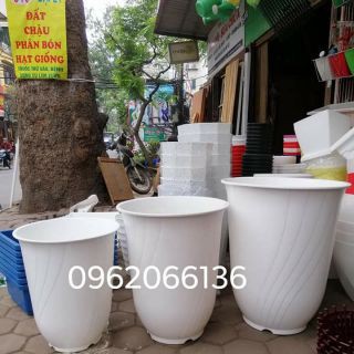 Chậu bom bé rộng 36cm màu trắng