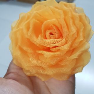 Hoa hồng voan 8 đến 9cm