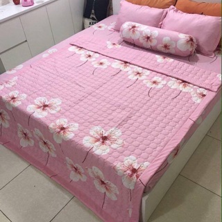 set chăn ga gối poly
