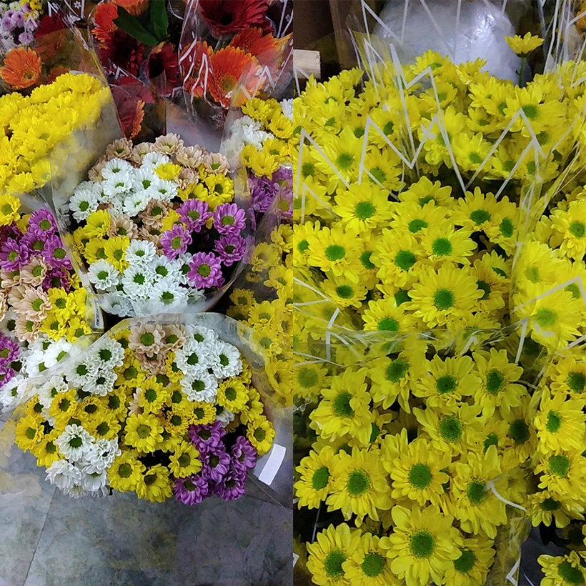 Nước Dưỡng Hoa Lâu Tàn Israel tại Chợ Sỉ Hoa (5 Chai 100ml) giúp giữ hoa tại Chợ hoa tươi lâu hơn & không bị đen gốc hoa
