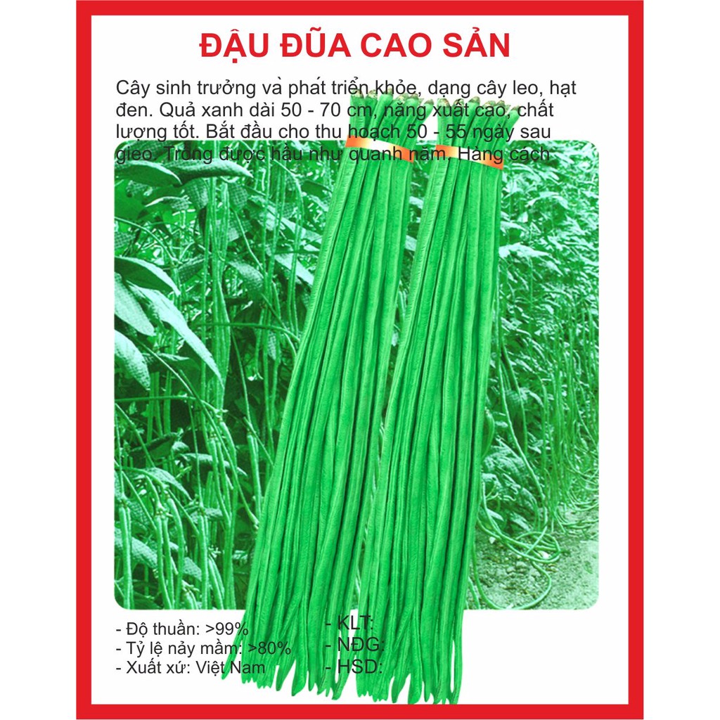 hạt giống cây đậu đũa gói (5Gram) rau