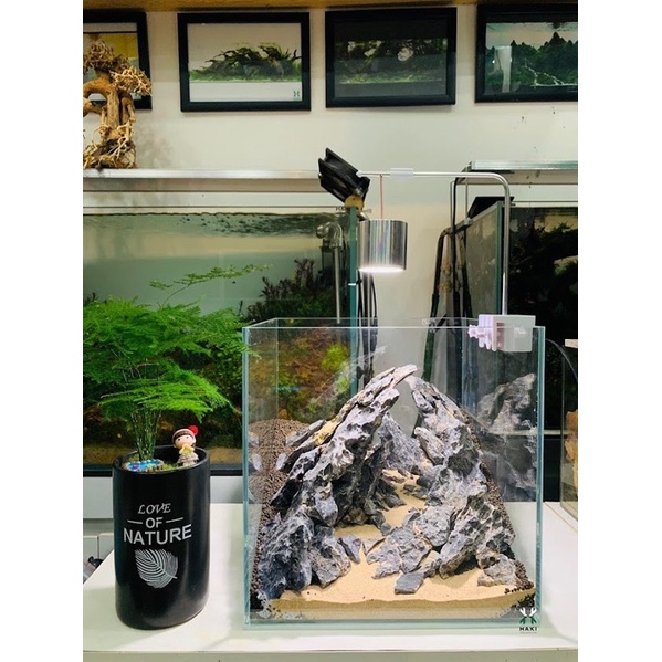 ĐÈN LED RỌI XINMA 3W, 5W, 7W bể thủy sinh, bể cá, bể cá mini