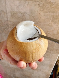 Dừa Xiêm Trọc Bến Tre