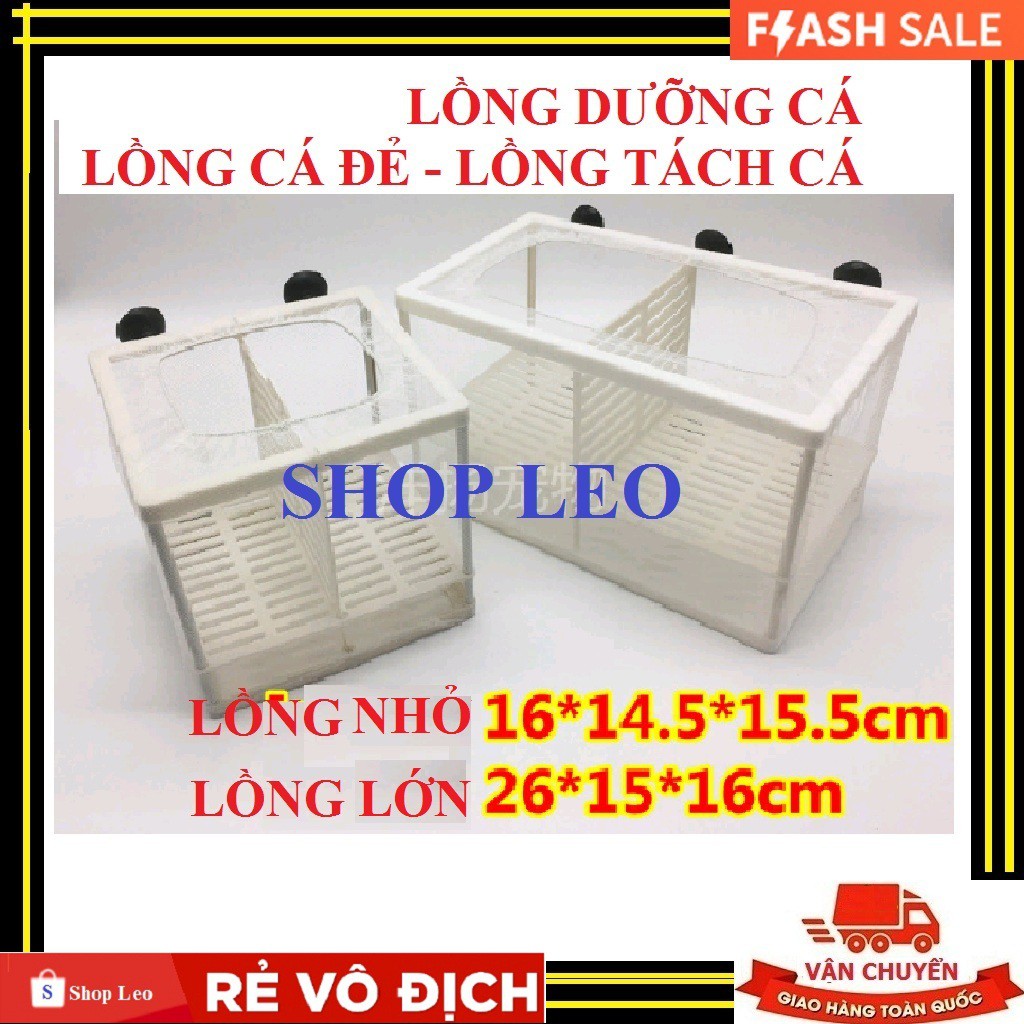 LỒNG DƯỠNG CÁ-LỒNG TÁCH CÁ ĐẺ- LỒNG ĐẺ BẢY MÀU- LỒNG CÁ ĐẺ