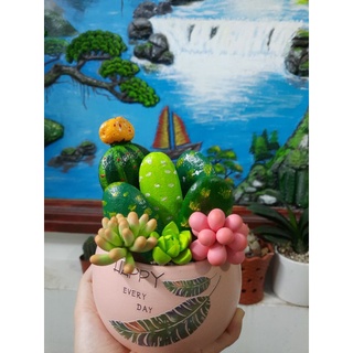 Xương rồng đá kết hợp sen đất sét