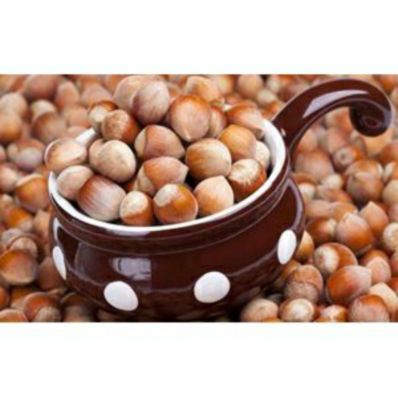 Nhân hạt phỉ chuẩn Mỹ còn sống 100g,500g