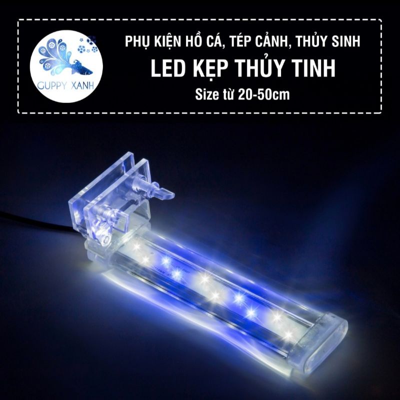 Đèn kẹp bể cá thẩm mỹ , siêu sáng phù hợp với hồ cá , hồ thủy sinh
