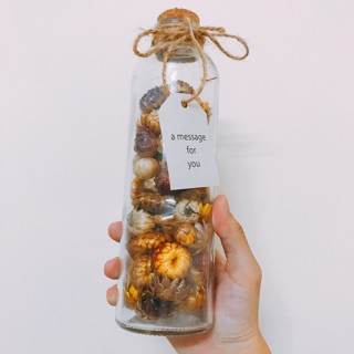 Bình thuỷ tinh hoa bất tử 330ml