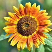 Tổng kho gia dụng Thaobbi