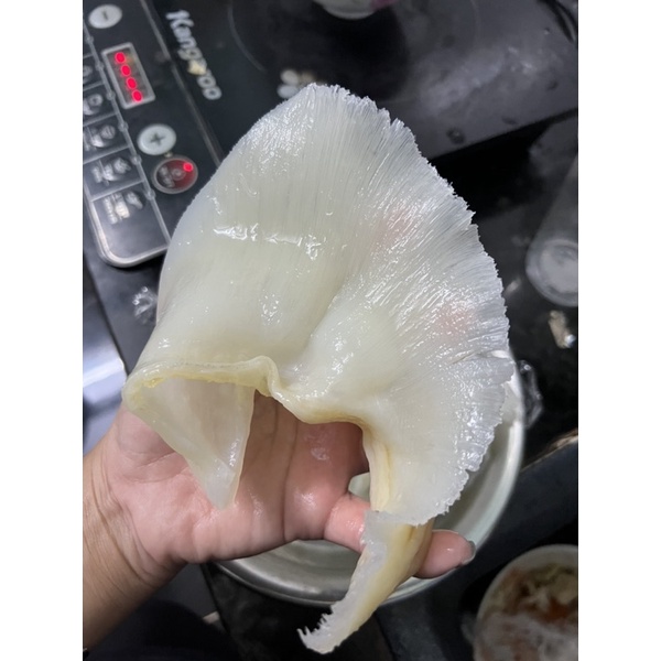 Vi đuôi nấu súp bào ngư  loại 1