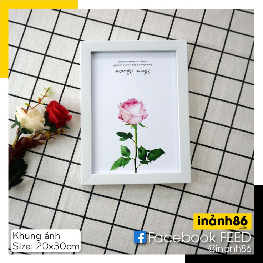 [ SIÊU RẺ ] Khung Ảnh Treo Tường 20x30 cm