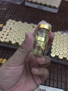 TẾ BÀO GỐC CUTISCURA