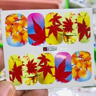 Stick nước 3D trang trí móng Thiên Di Nail