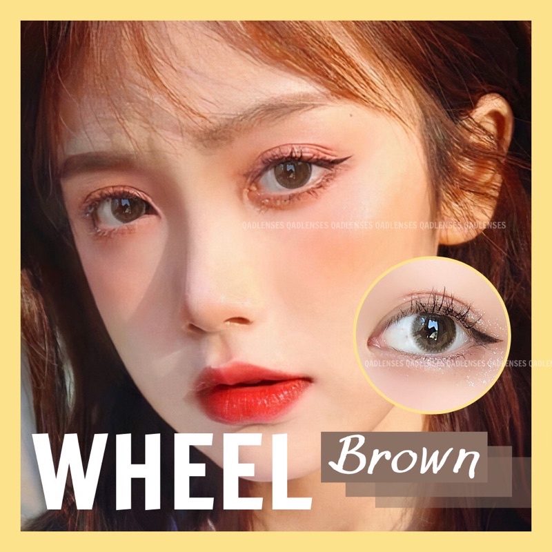 Wheel Brown - Lens Qadlenses nâu trong veo không vân không viền Kính áp tròng - Lens Khay