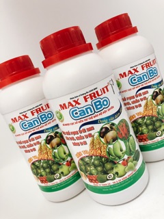CANXI BO - SIÊU ĐẬU TRÁI