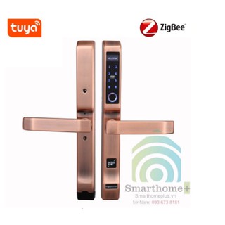 KHÓA CỬA NHÔM THÔNG MINH ZIGBEE DLS-Z2