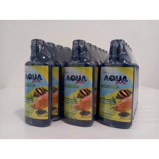 CZ12 - AQUA BẠC (TRỊ NẤM CHO CÁ RỒNG, HỔ, SAM)