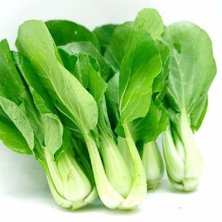 20gr - HẠT GIỐNG CẢI THÌA