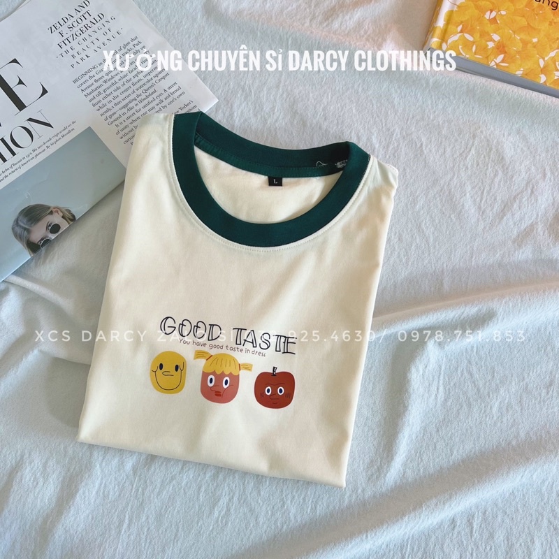áo thun cotton phối cổ  FREESHIP  áo thun cotton 4 chiều GOOD TASTE
