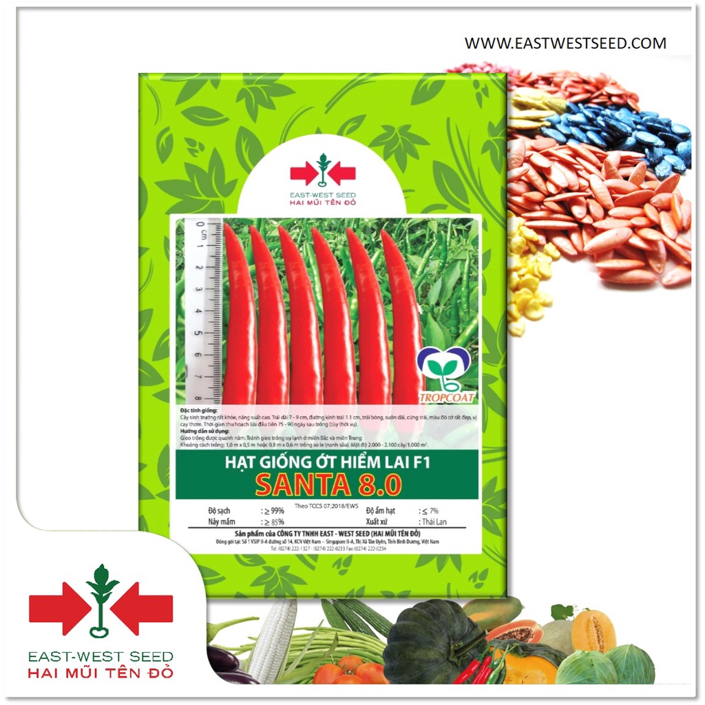 GÓI 10 HẠT ỚT HIỂM LAI F1 SANTA 8.0 CỦA EAST-WEST SEED (HAI MŨI TÊN ĐỎ)