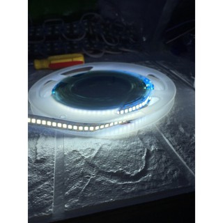 Led Cuộn Dán 12V 5m 2835(240 mắt/m),Led Dán 12V,Led Cuộn