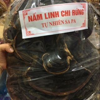 1kg nấm linh chi rừng