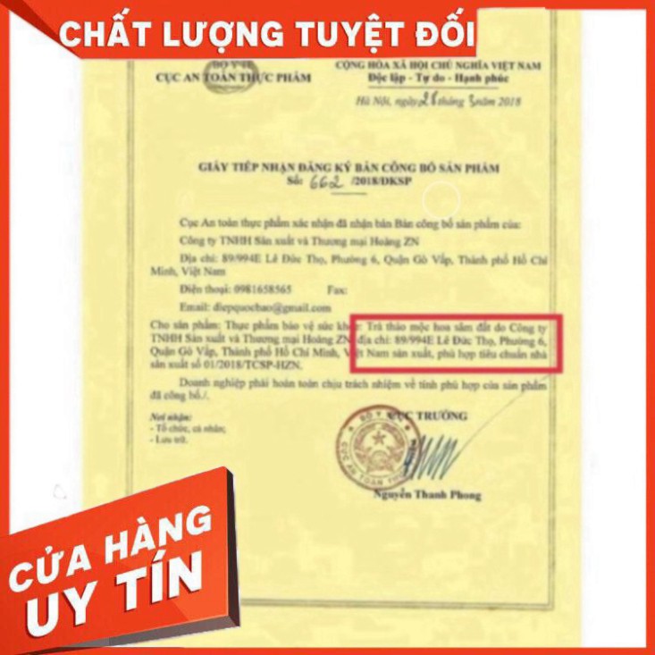 TRÀ THẢO MỘC HOA SÂM ĐẤT