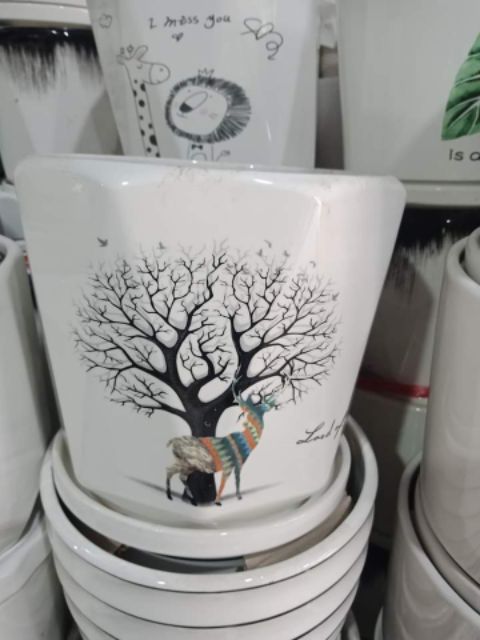 Bộ 3 chậu có đĩa