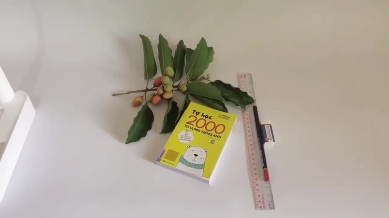 Sách - Tự Học 2000 Từ Vựng Tiếng Anh Theo Chủ Đề Mcbooks | BigBuy360 - bigbuy360.vn