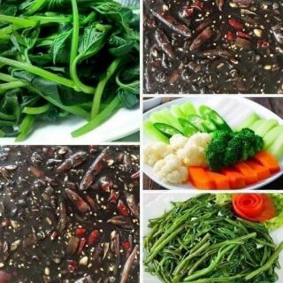 Mắm cá mực, cá cơm