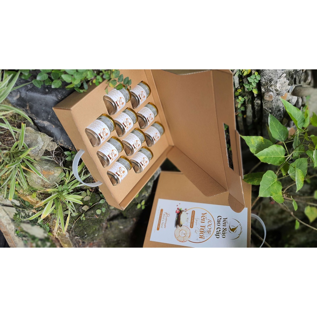 Hộp cao cấp đựng 10 hủ yến chưng