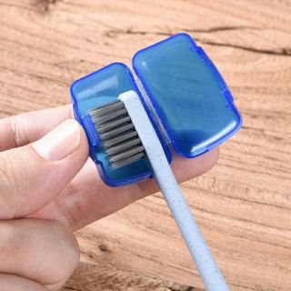 Nút bịt đầu bàn chải du lịch tiện dụng