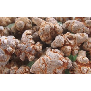 Tam thất Bắc 1 kg loại to 7 củ