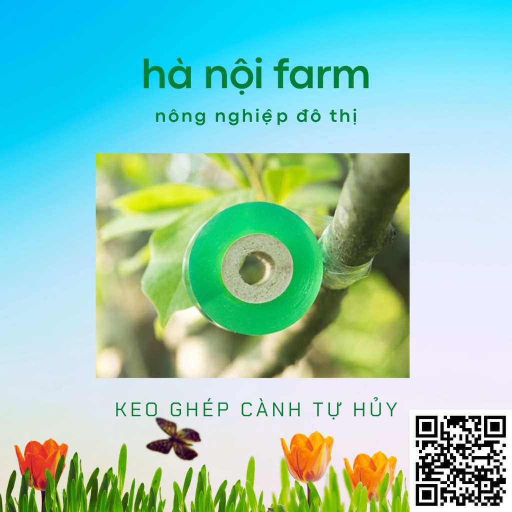 Cuộn băng keo, băng dính cây. tự dính có thể kéo căng dùng để ghép cành cây cảnh tiện dụng