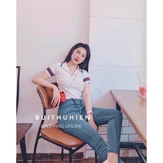 Áo len polo basic cổ đức pha sọc màu nổi bật (4953#)