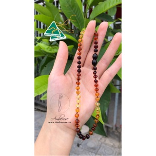 Vòng amber baltic cho bé size từ 0-3 tuổi