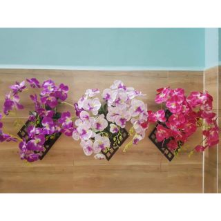 Lan hồ điệp bằng vải loại treo