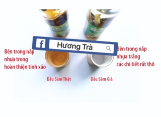 Combo 12 Chai Dầu Sâm Green Herb Oil (loại 1)