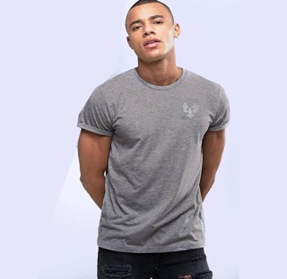 Áo thun đại bàng