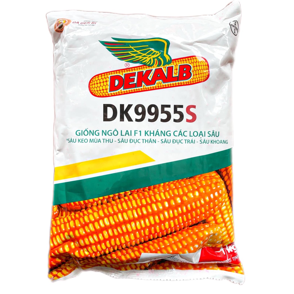 Hạt giống NGÔ KHÁNG SÂU DK9955S