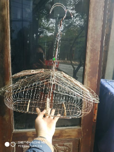 Bẫy chào mào 2 mặt Sài gòn