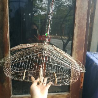 Bẫy chào mào 2 mặt Sài gòn