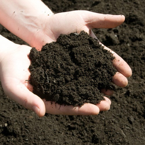 Phân trùn quế chín nguyên chất, phân bón hữu cơ, tốt cho cây trồng, hoa, cây ăn trái ( lẻ gói 100g)