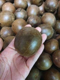 La Hán quả (hàng đẹp)