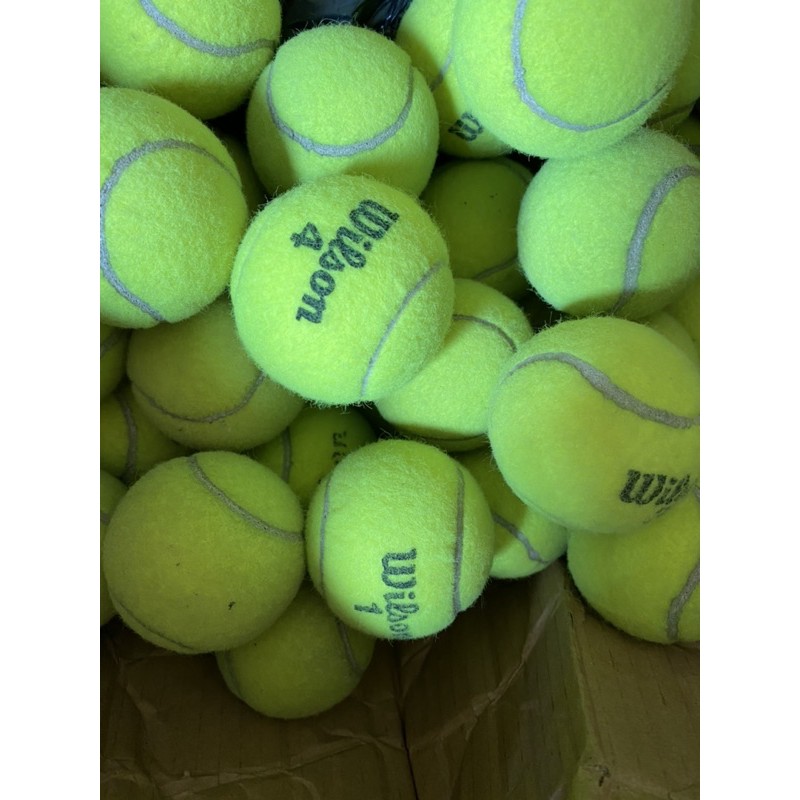 Đồ chơi banh tennis cho chó mèo -Shop tennis online