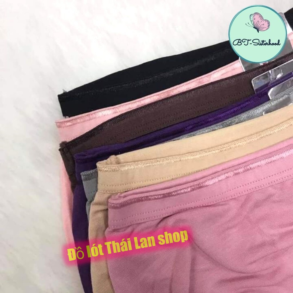 [BIG SIZE] Quần lót nữ basic Sisterhood 5134, chip cotton Thái Lan nhập khẩu vải siêu nhẹ mềm mát, Leblur ,Vanvene