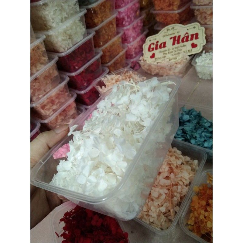 Hoa khô tú cầu🌺 10g/1 hộp