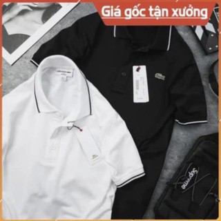 Áo phông nam lacoste / áo thun nam polo cá sấu có cổ