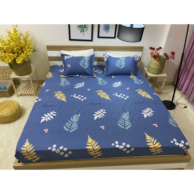Bộ ga gối cotton 3 món ga chun trơn 1m5x2m
